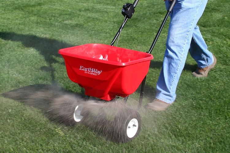 Now’s the Time to Feed Your Lawn
